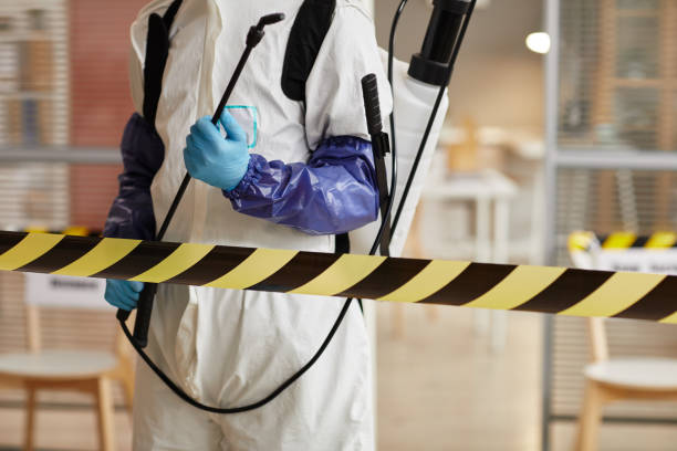 Professional Sewage Cleanup technician working in Inwood, NY